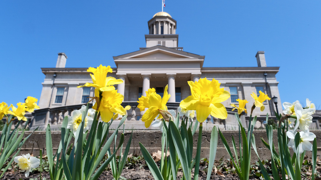 Payroll Services University Human Resources The University of Iowa